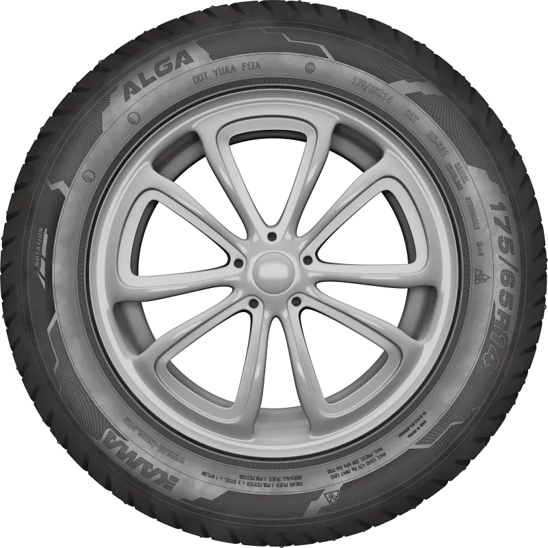 KAMA ALGA (НК-531) в Сольцах — KAMA TYRES KAMA ALGA (НК-531) в Сольцах